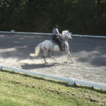 AMoonWestDressage