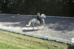 AMoonWestDressage