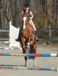 Saturday Program jumping lesson