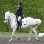 dressage- Darby Starbeam 1