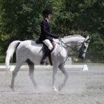 dressage 4