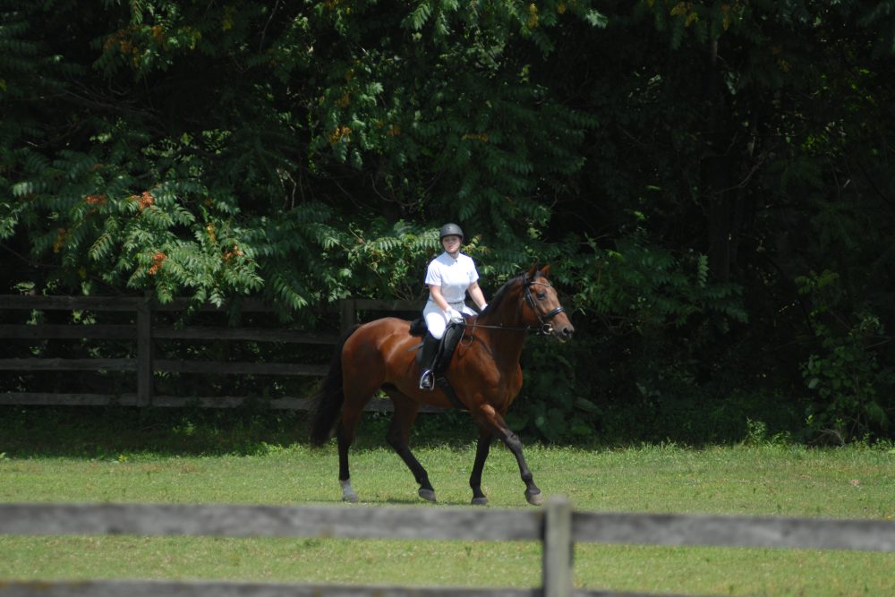 July 14, 2019 scooling show, warm up arena.