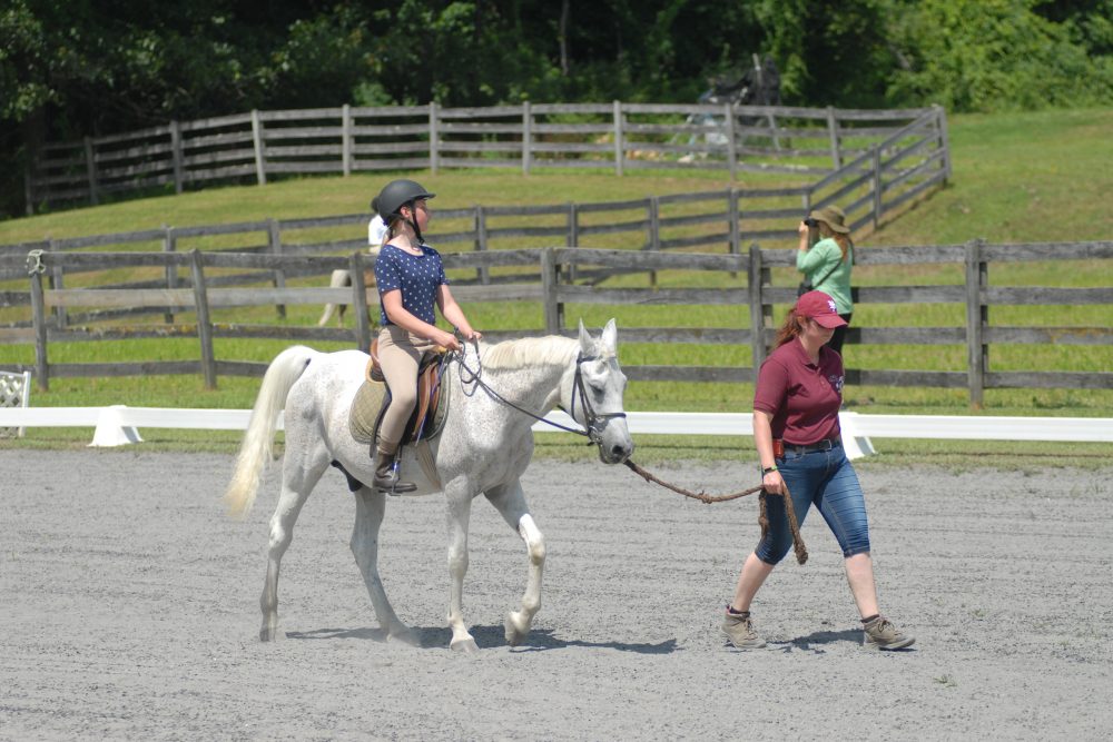 July 14, 2019 scooling show, leadline dressage class.