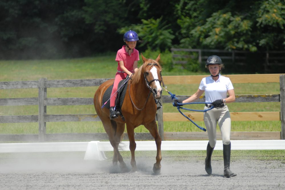 July 14, 2019 scooling show, leadline dressage class.