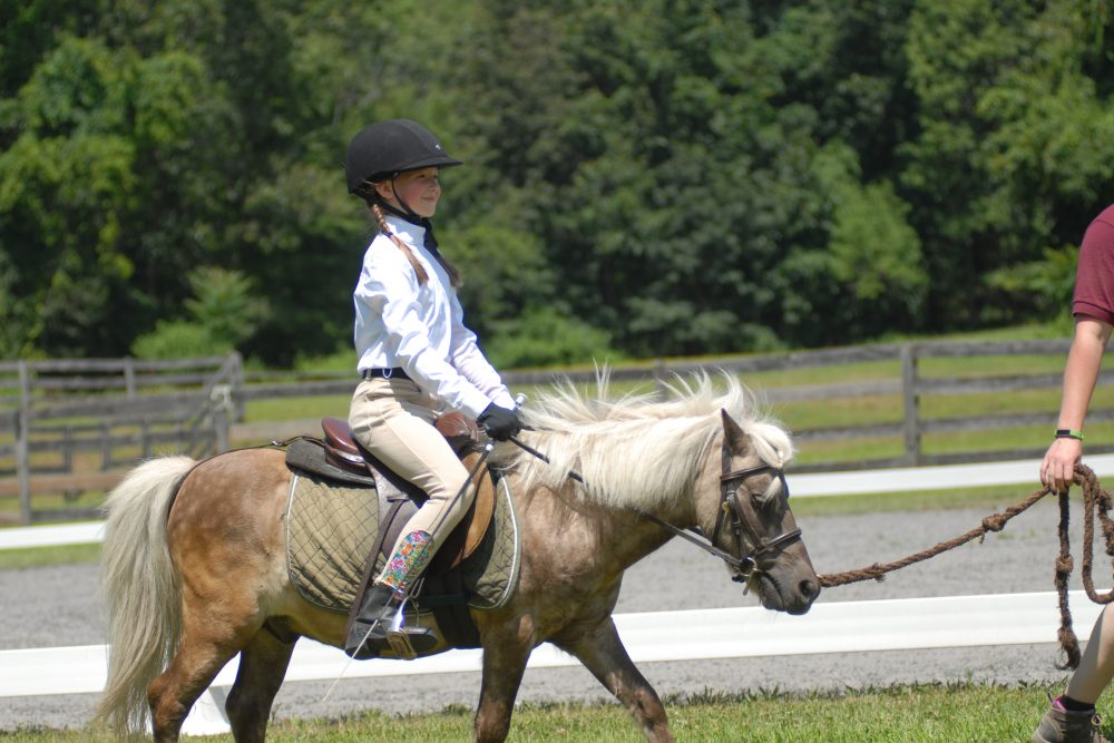 July 14, 2019 scooling show, leadline dressage class.