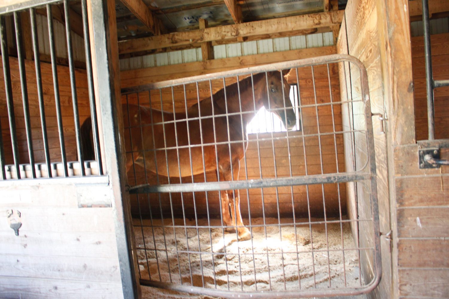 Boarding Phoenix Equestrian Center At Oxbow Stables